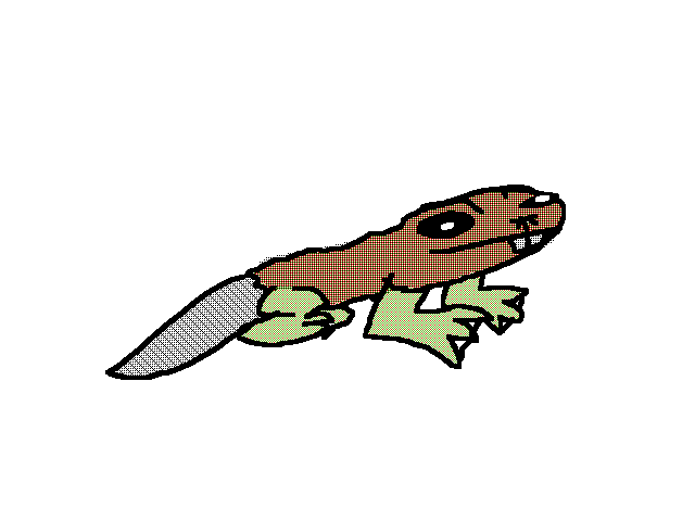 Frog beaver