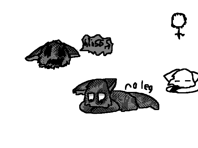 grievance's cat