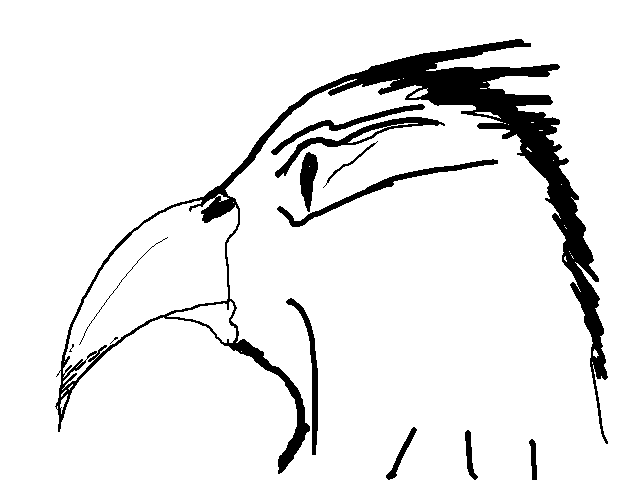 Falcon