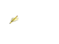 Hand v person