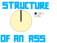 Structure of an ass