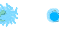 Chidori v Rasengan