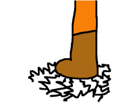 Stomp