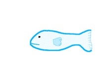 Fish loop