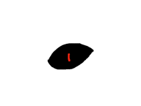 The eye