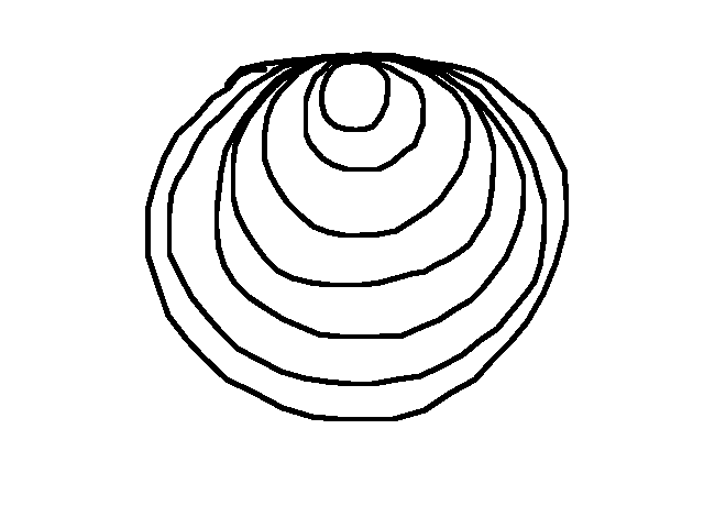 3D Illusion Test