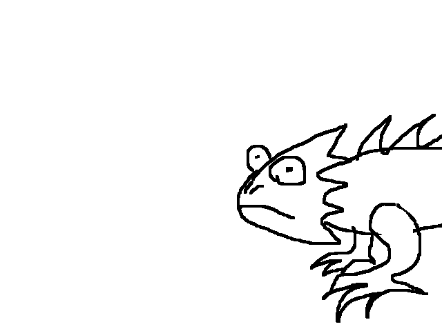 Lizard