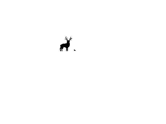 Stag