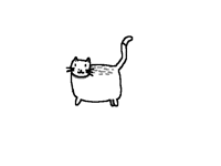 Cat and his tail moveing