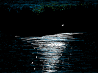 "Night Sea View"2/4