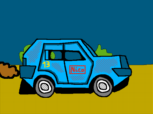rally car -> Nico(13)
