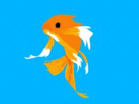 Gold Fish (( wipp ))