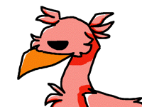 is a birb