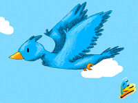 Flyin' Birdy