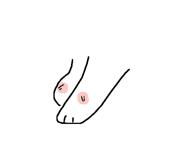 Chub chub paws