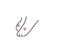Chub chub paws