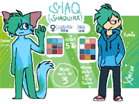 Shaq (Shaquira) || Full Official Ref. Sheet 2018