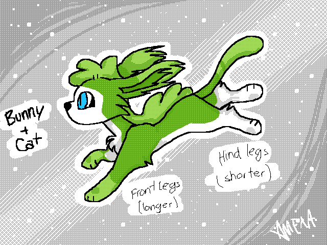 Contest Entry for @Sneezo