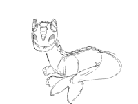 This was a species I create the last months