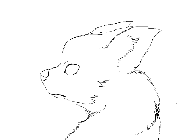 wip xdxd
