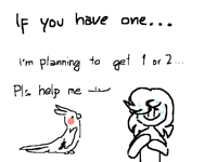 Do u have a pet bird??? (Cockatiels,budgies, etc.)