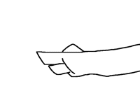 Random very shitty anim