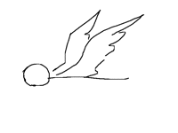 I luv flying and running cycle A A A i m   G ay