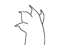 random smooth anim