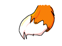 fLoof-