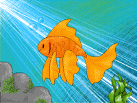 Gold Fish (entry lolololol)