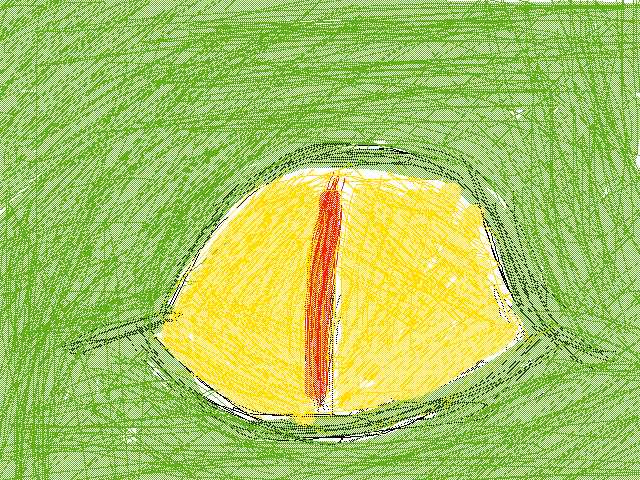 Dragon eye
