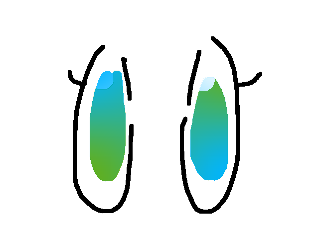 Blink test update