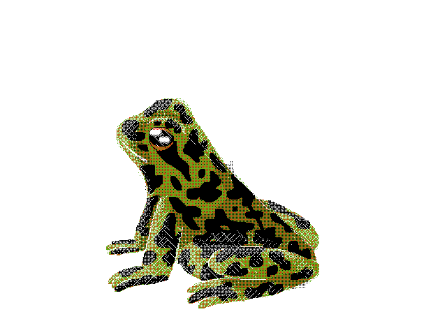 Rana temporaria
