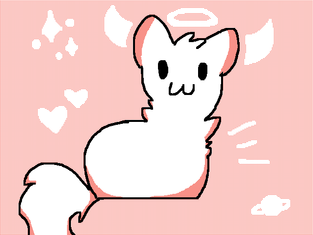 Cat bun :3