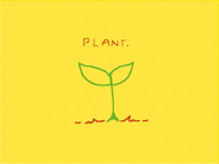 Plant.