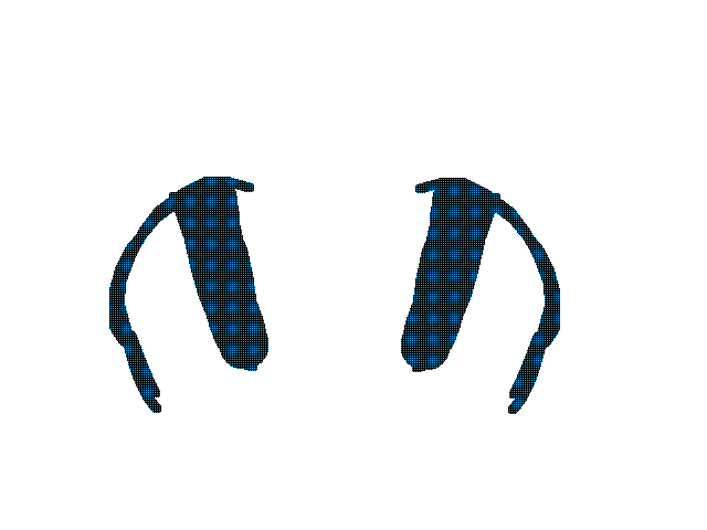 Blink test