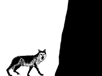 Sheep's Clothing