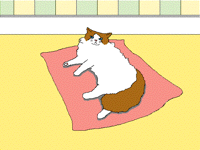 Annoyed Cat