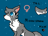 My warrior cat oc