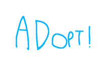 Who adopt?