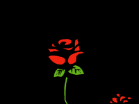 Beauty Dies