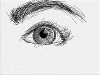 Blinking test