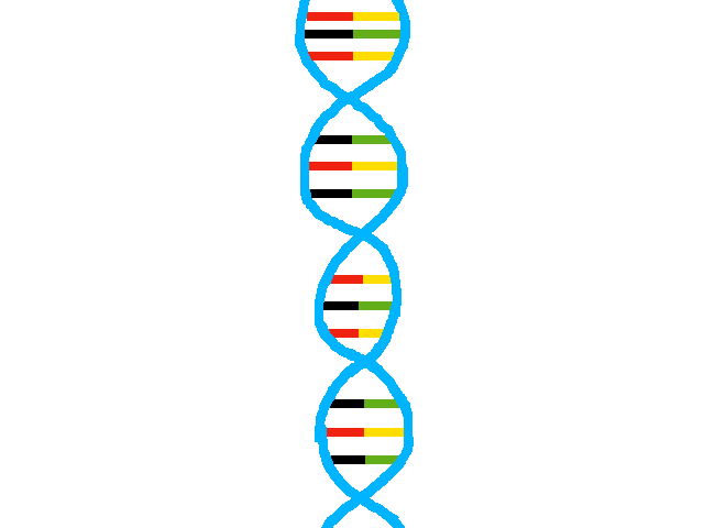 DNA