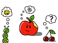 The apple