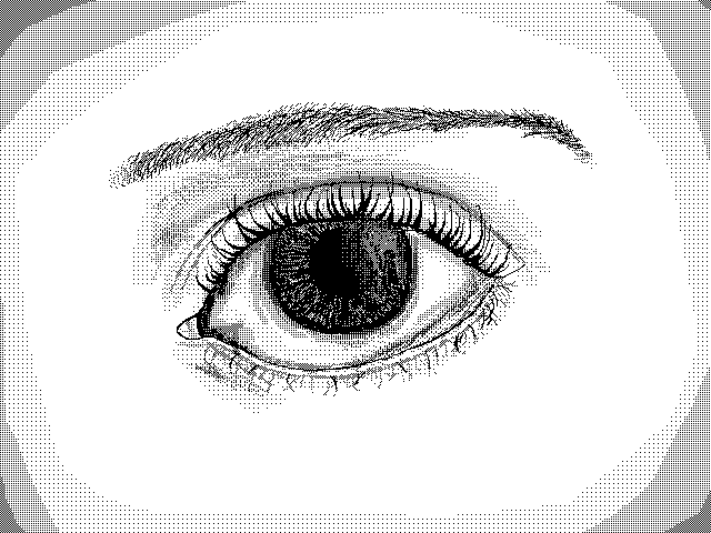 Eye