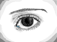 Eye