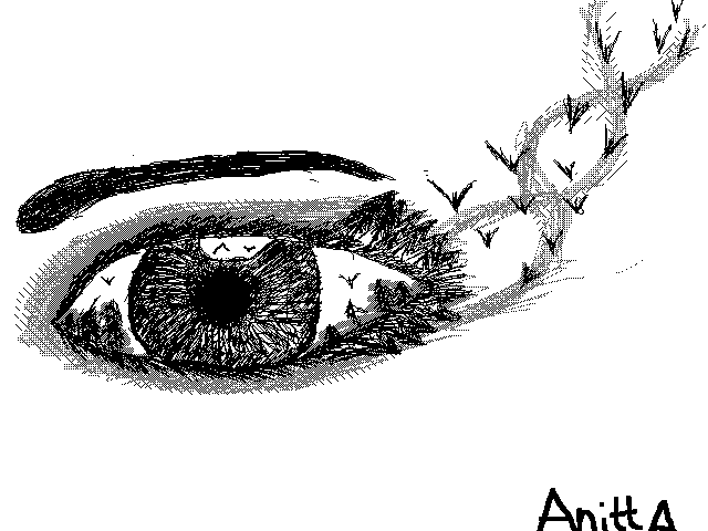 Eye