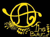 13 - Enter the Bar