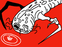 Prey