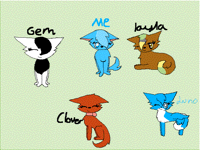 my Friends